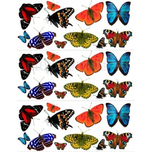 Бабочки водорастворимая бумага